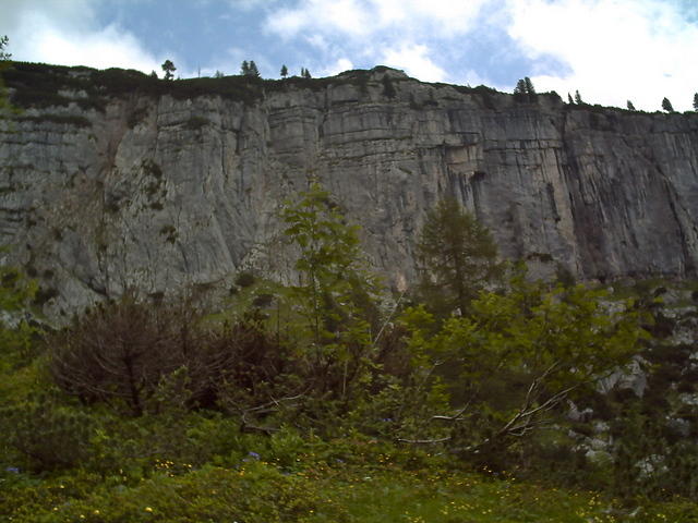 PICT0031.JPG