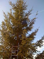 Antennenmontage bei WNL