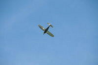 300_3418.JPG