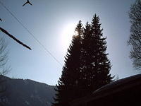 PICT0016.JPG