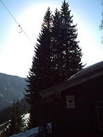 PICT0017.JPG
