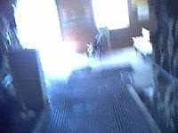 CLIP0010
