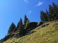 IMG_0416