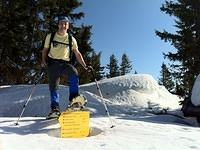WNL Wolf on abt. 2 meters of snow (end of march)